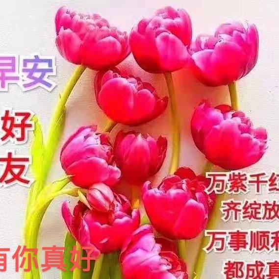 乐乐