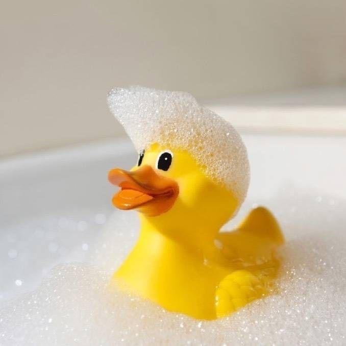 银河系有效继承人