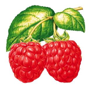 我和幸福有个约会