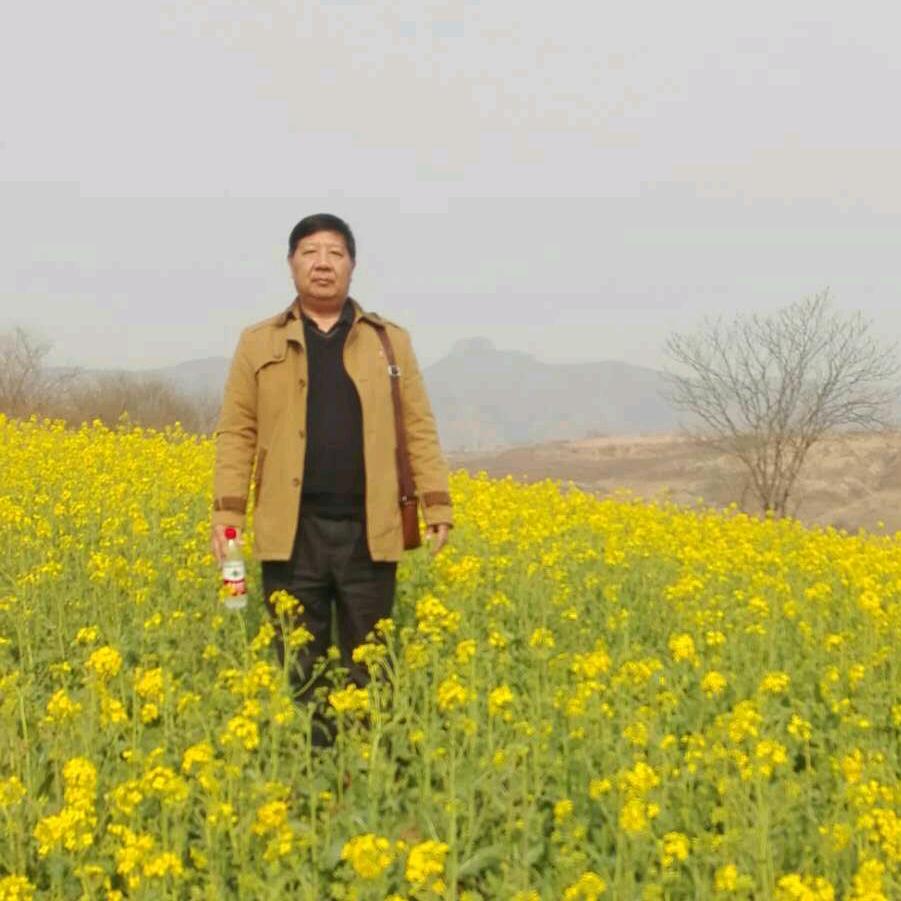 自然法则