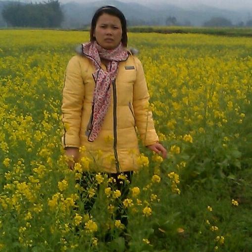 李燕芳840