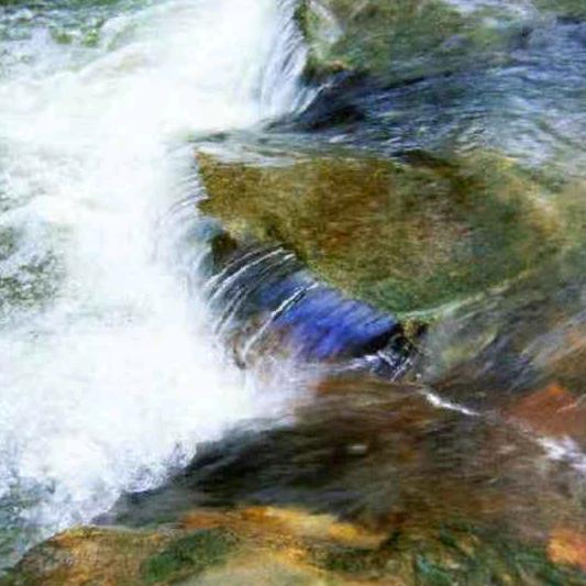 哥不在是当年的哥