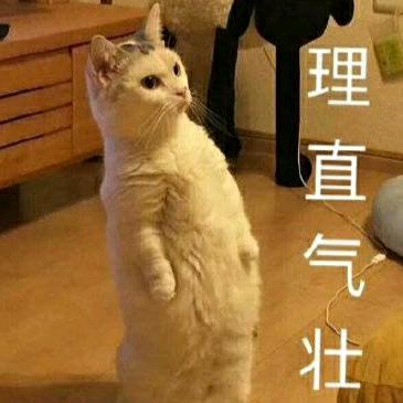 飞侠妮妮