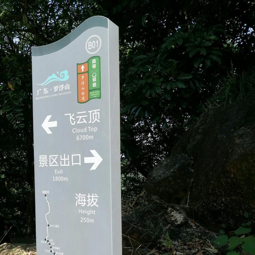 乐在其中