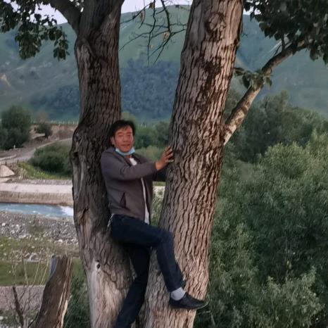 专业钢构
