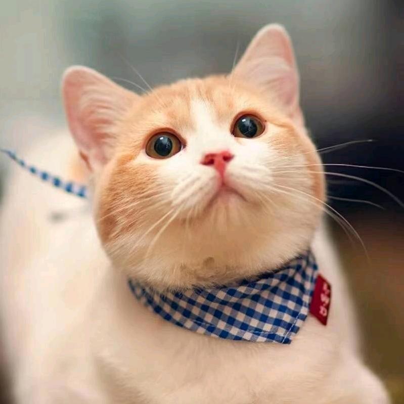 用户3884403520780追梦人