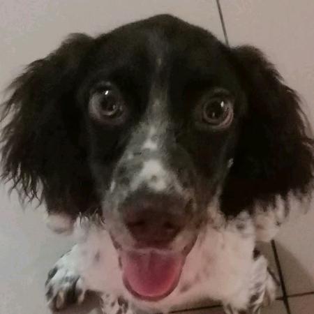 ♥奔跑吧可乐♥