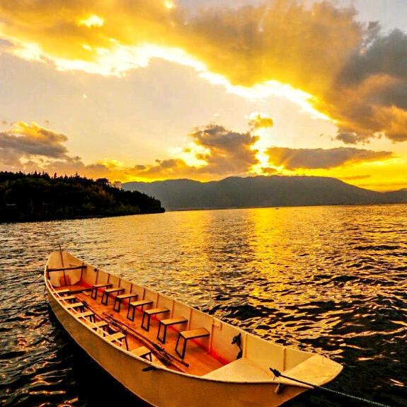 南极洲上的小企鹅