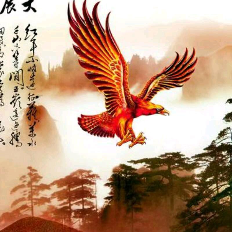 北方的狼