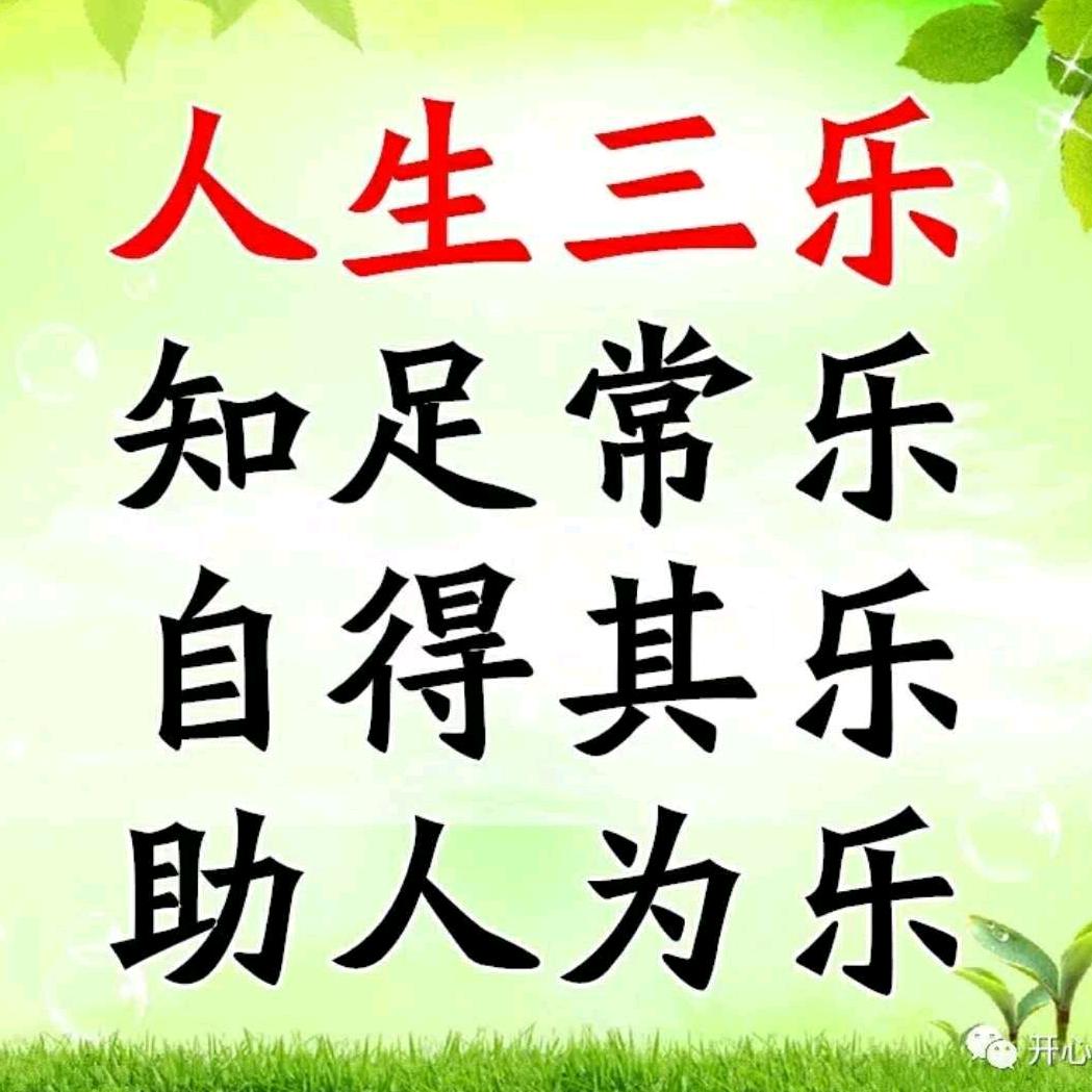 梅花傲雪