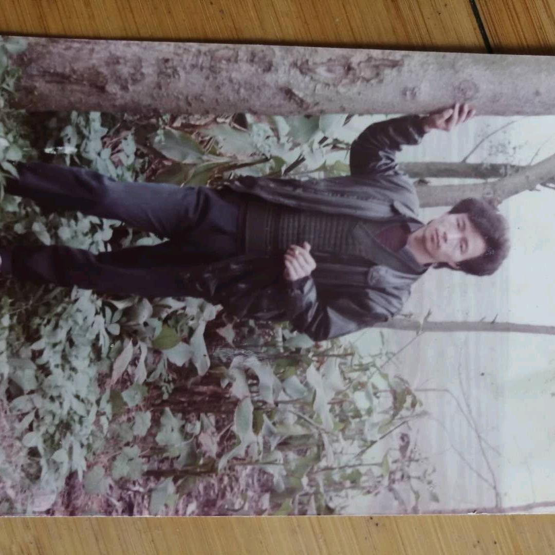 难得红树林