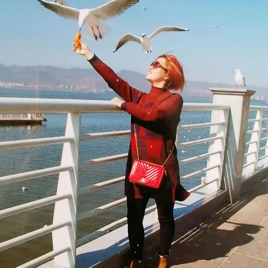 豆豆（好物在橱窗）