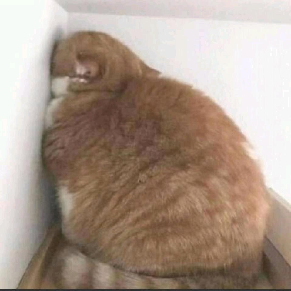 安