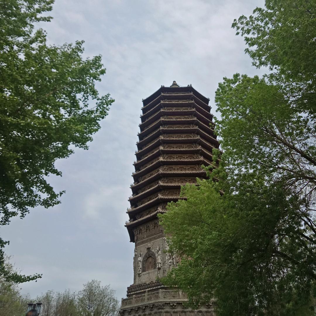 惊鸿照影
