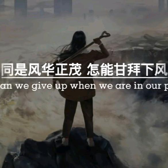 高粱地里打过仗头像