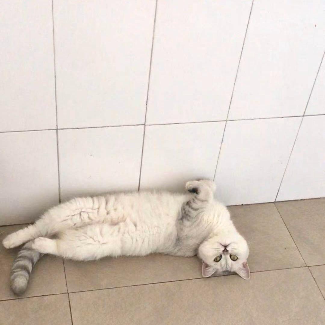 火火被注册了