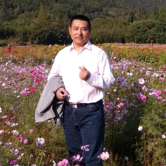 大立新