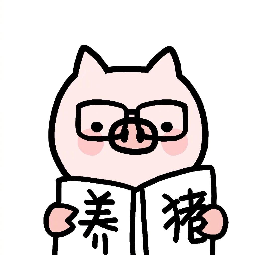 波波鸟