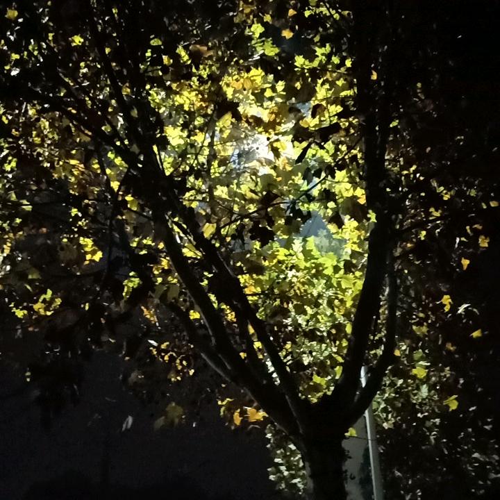 莫忘初心@