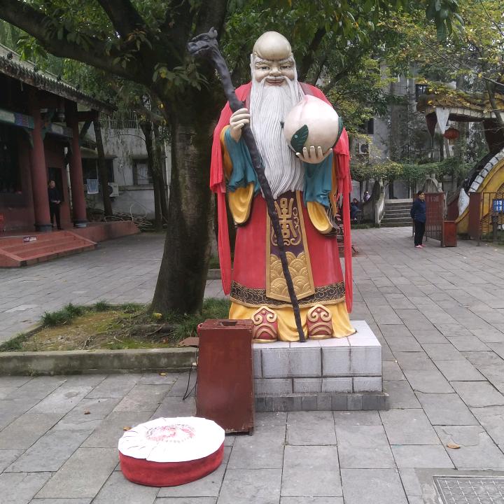 熊师，黄玫瑰(小号)早上5点10开播