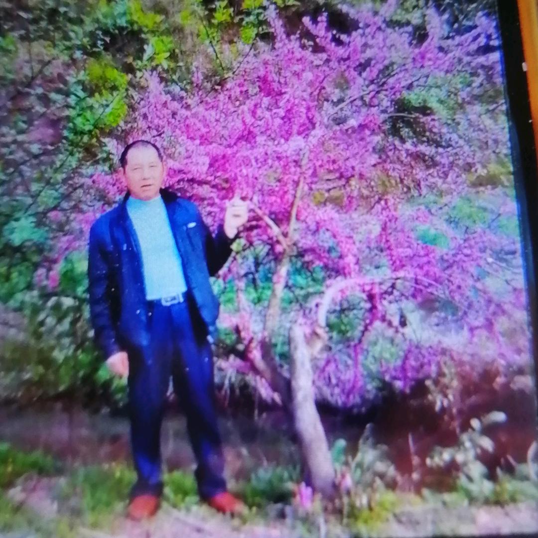 黑哥