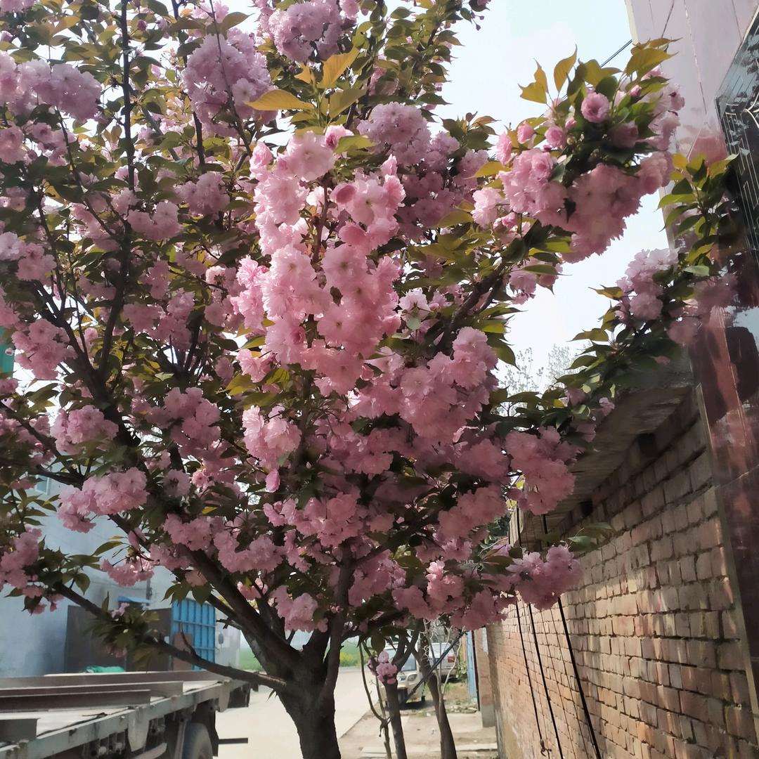 无语