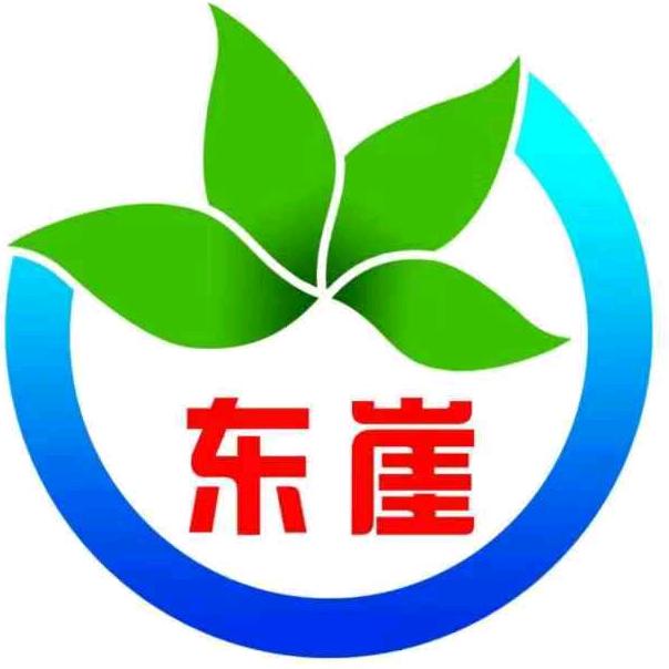 东崖大官