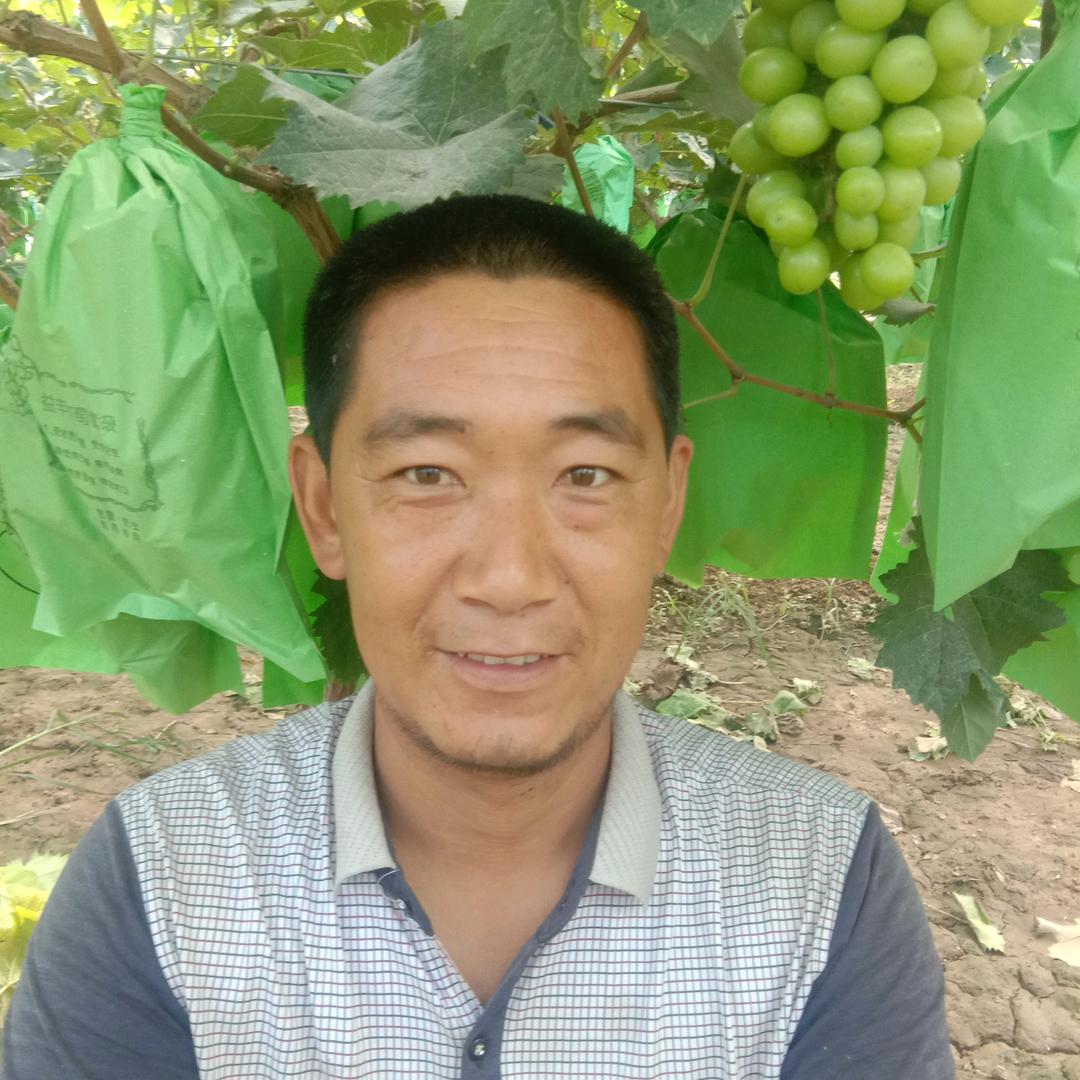 马刚一条龙