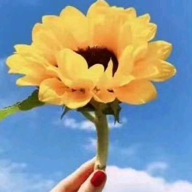 颐阳美容院官方号