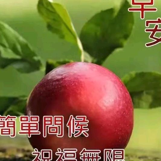 用户8785985689880沙漠风暴