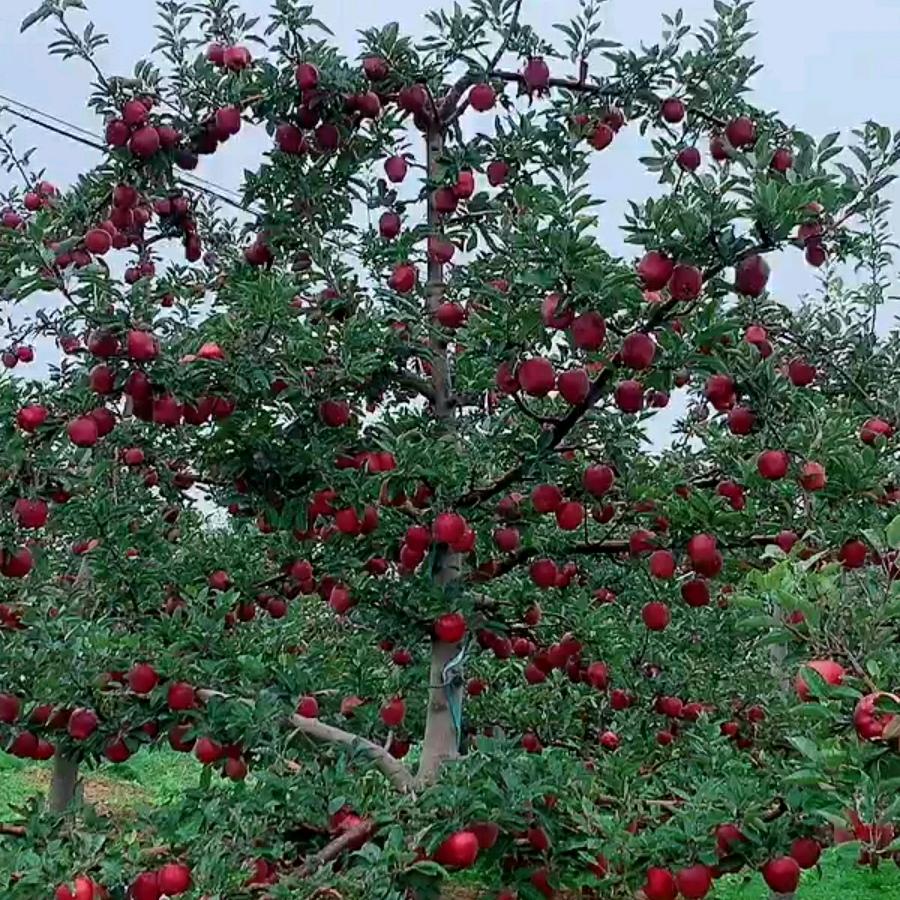 勤俭持家，方能致富！2025加油！