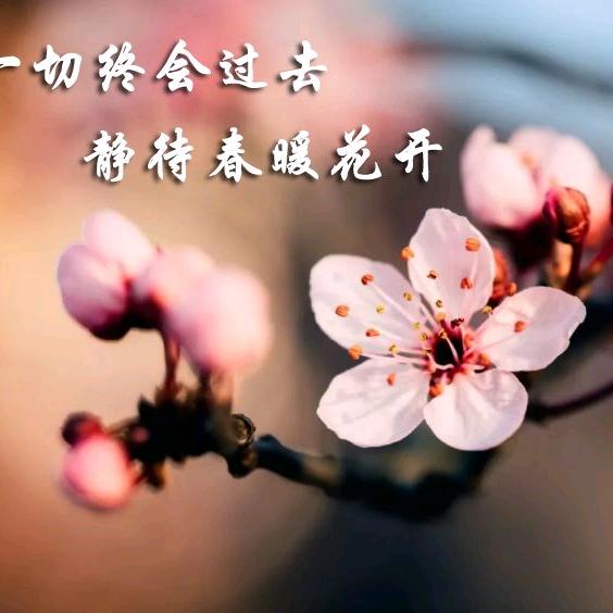 启启