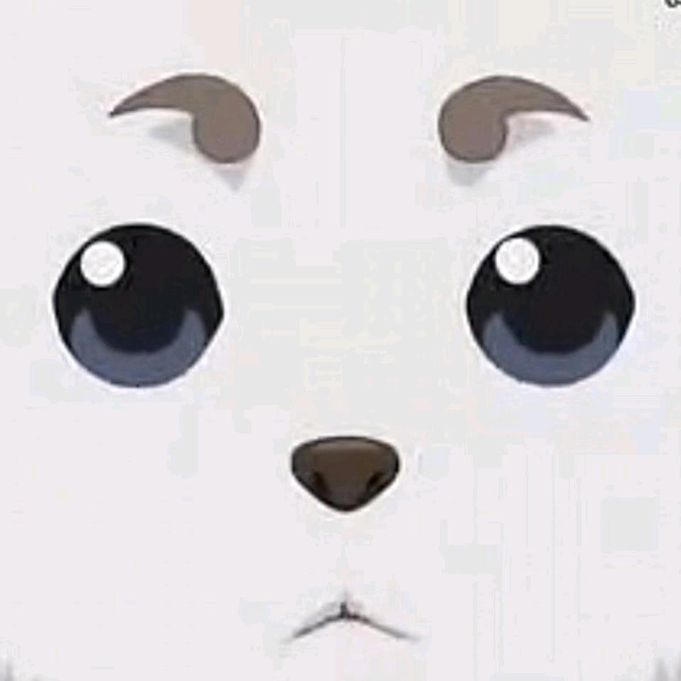 熊叔