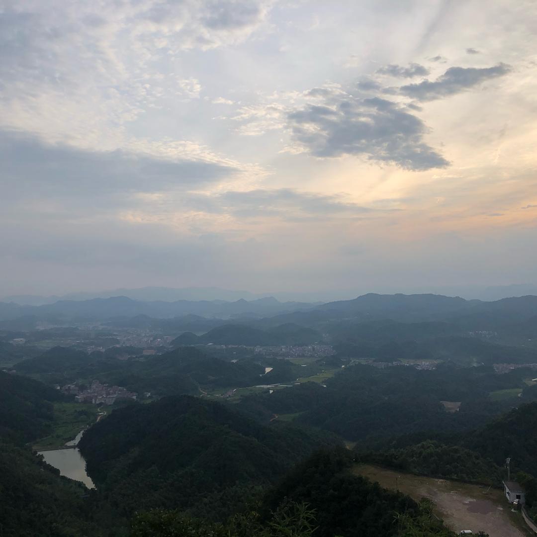 随它去
