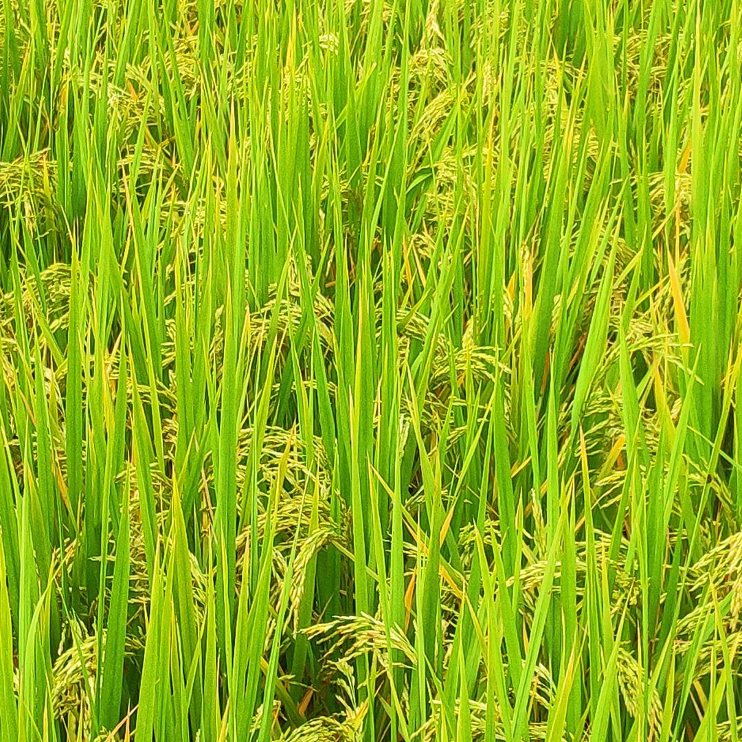 往后余生  好好爱自己