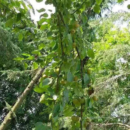 用户  一帆风顺