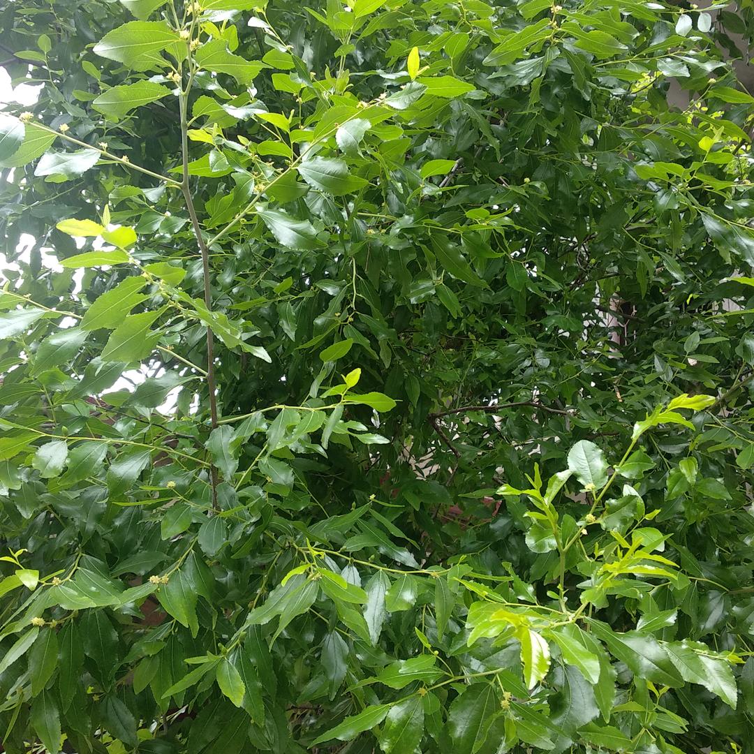 沈丘房产--闫姐