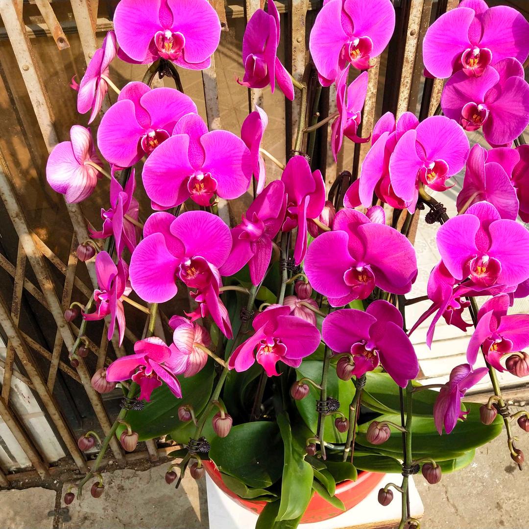 用户307764066`忄:师 :以。决