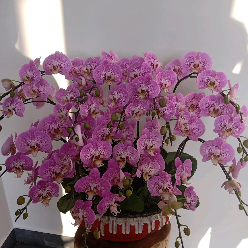 总把好的留给你