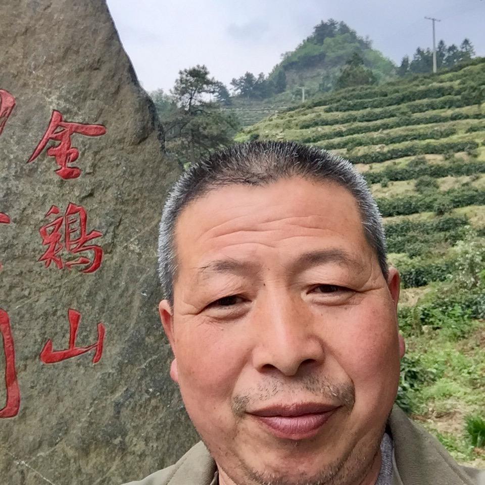 霍山县德龙生态食品专营店老茶农