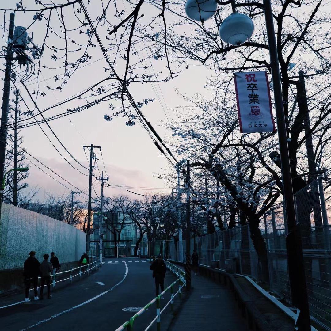 日本留学生（明清瓷器）