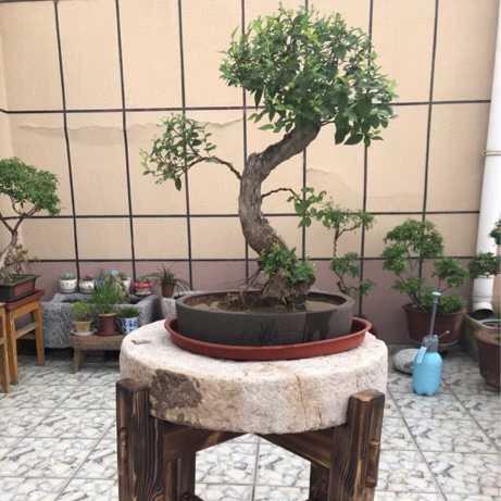 运来石民俗器物园