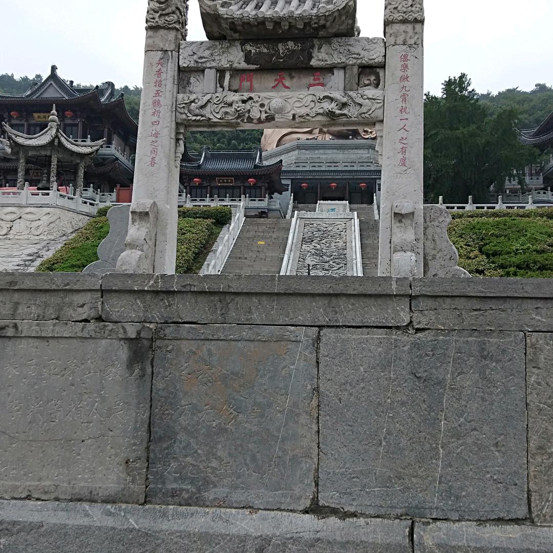 像枫一样自由