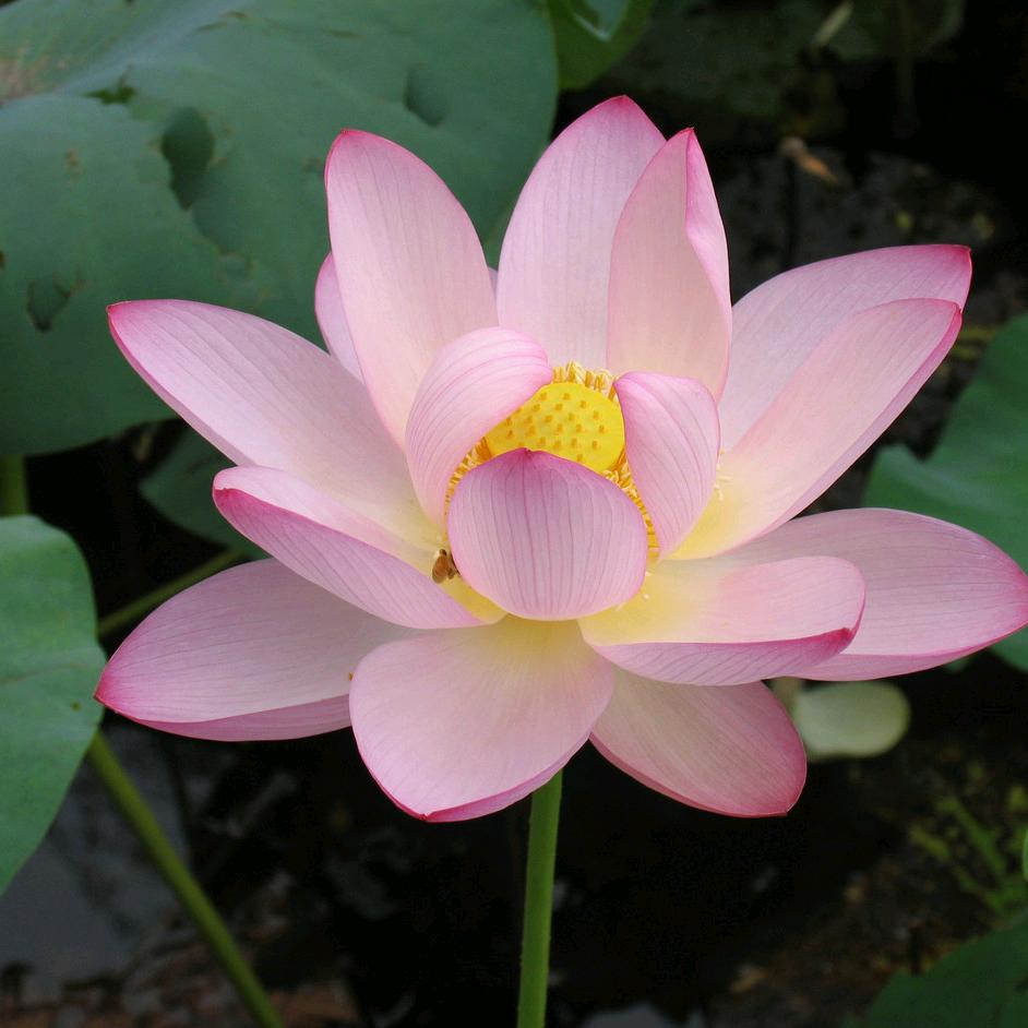 用户9308476477806