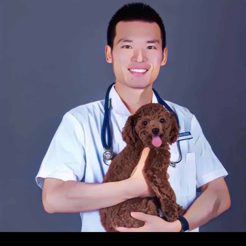 宠物医生 申瀚林硕士