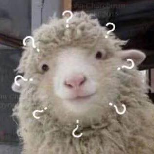 张张子