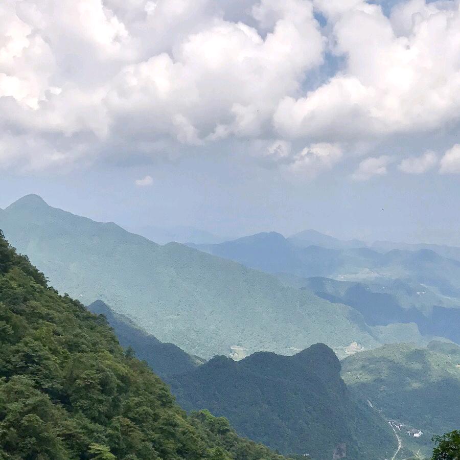 皮卡丘丶