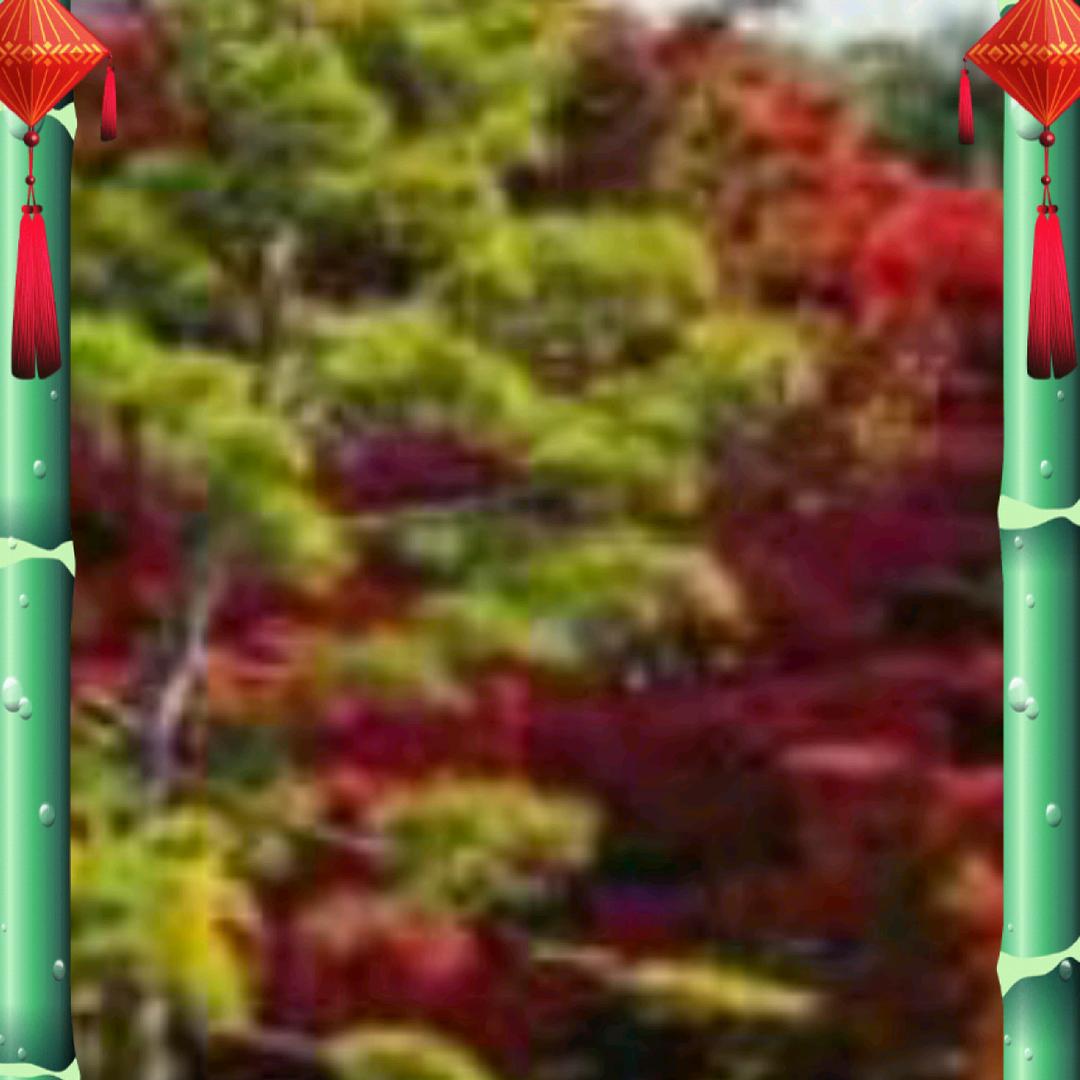 张老铁