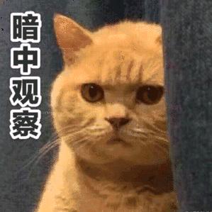 傳說.