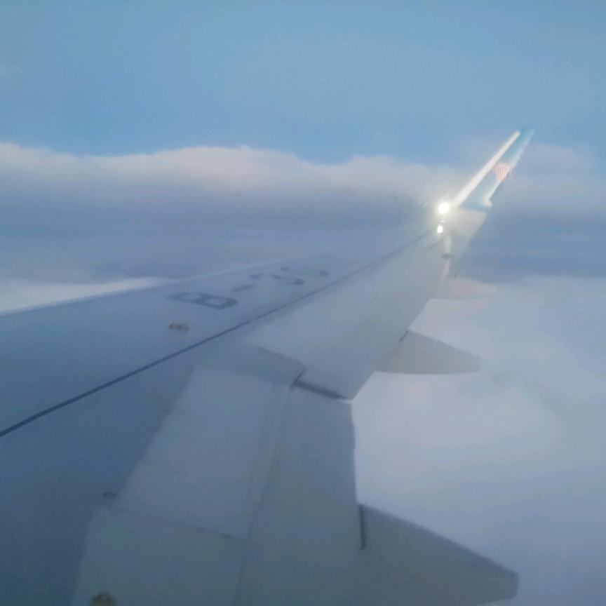 无归途之人   毛